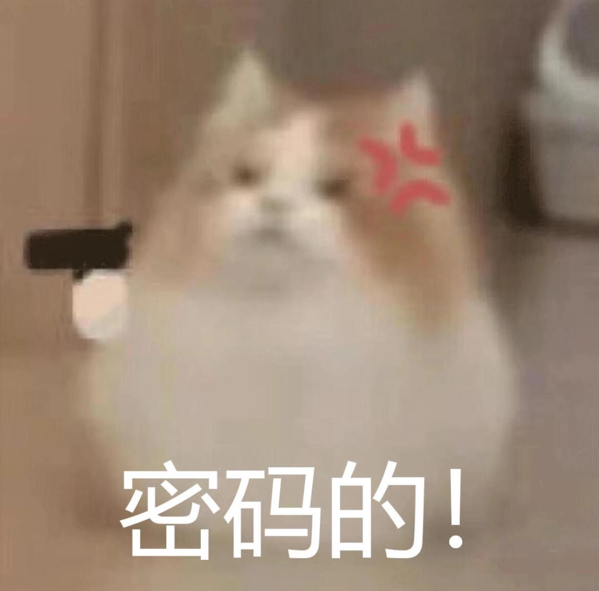 小暑