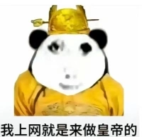 图片1|249