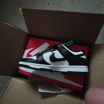 Nike Dunk Black-and-white panda